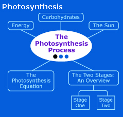 Graphical TOC