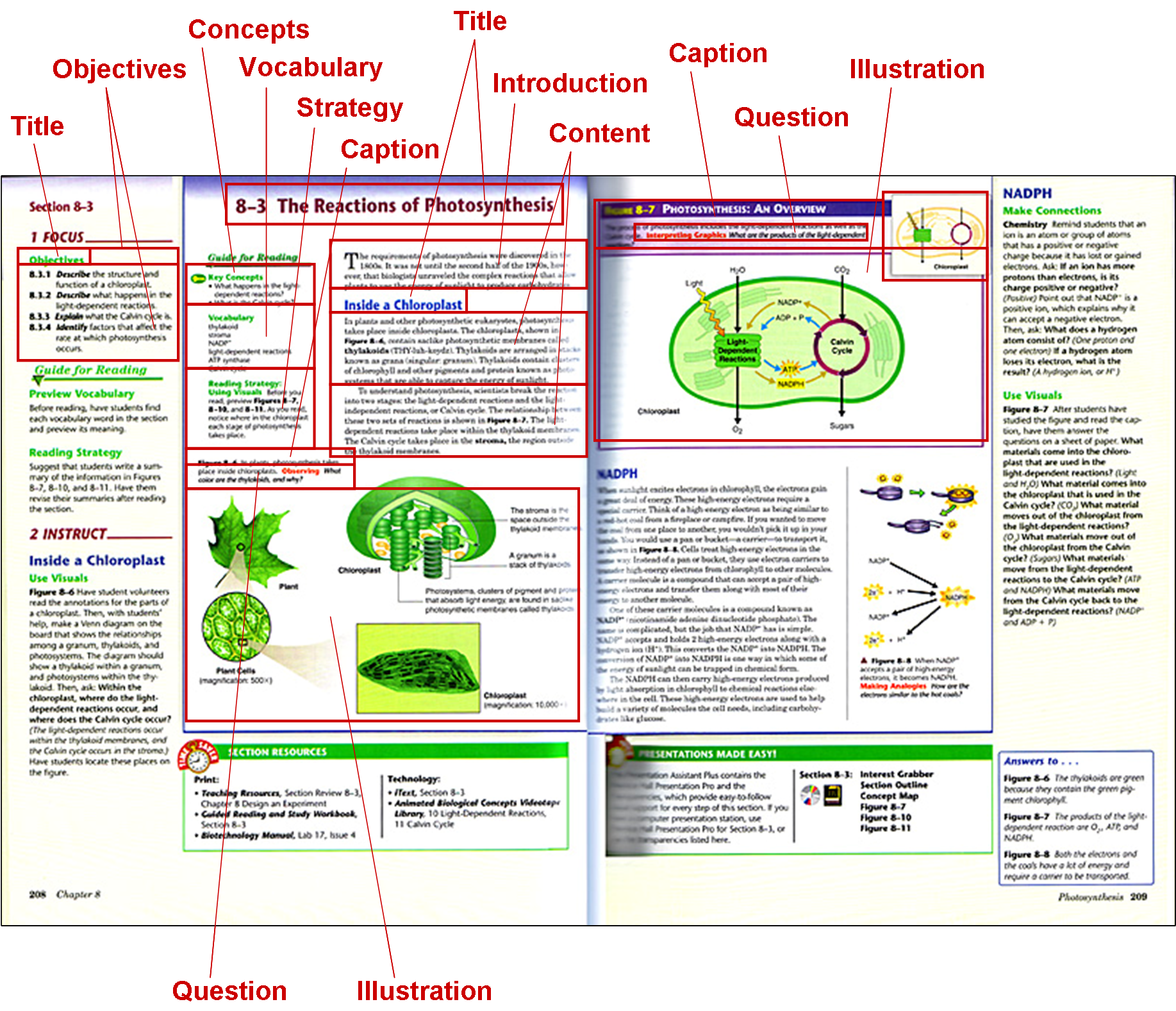 Describe content diagram