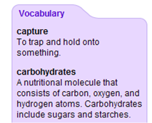 Sidebar vocabulary